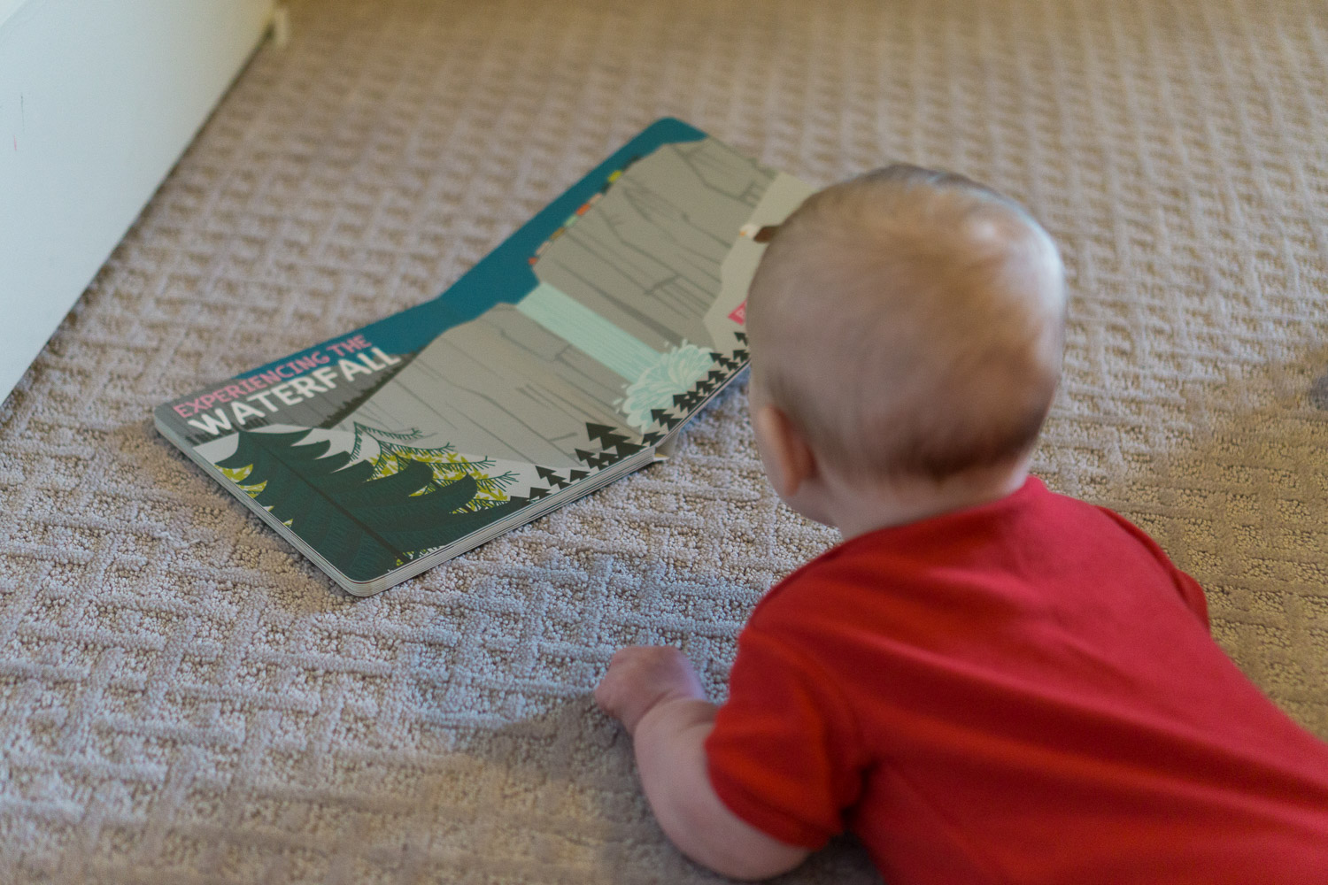 childrens adventure picture books