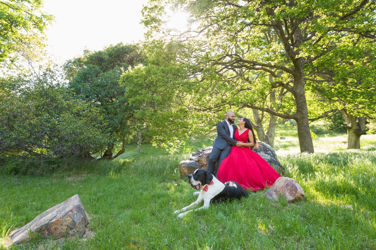 engagement shoot with dog