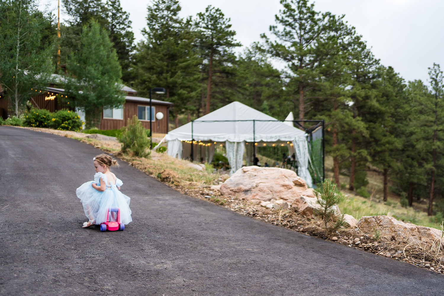 evergreen wedding photography reception