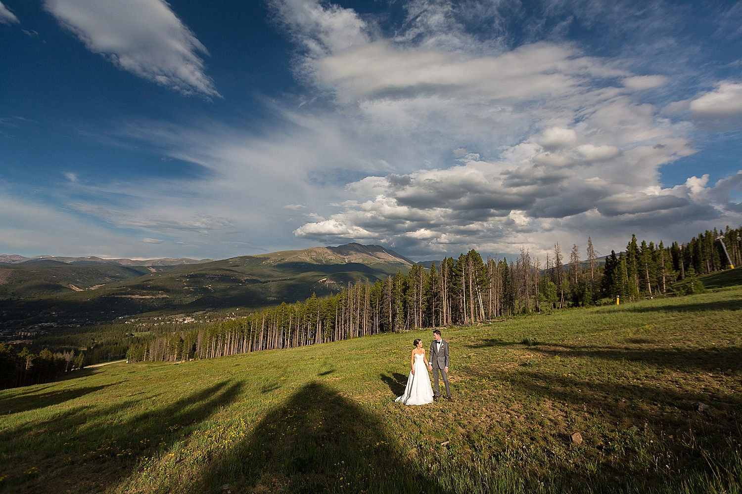 Summer Ten Mile Station Wedding Breckenridge Wildflower Portraits