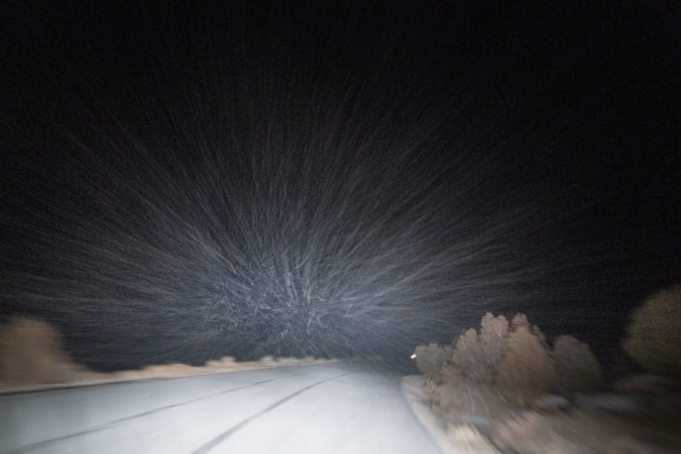 what is it about the desert